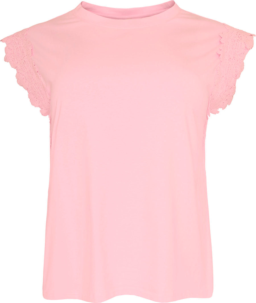 Cassiopeia Top